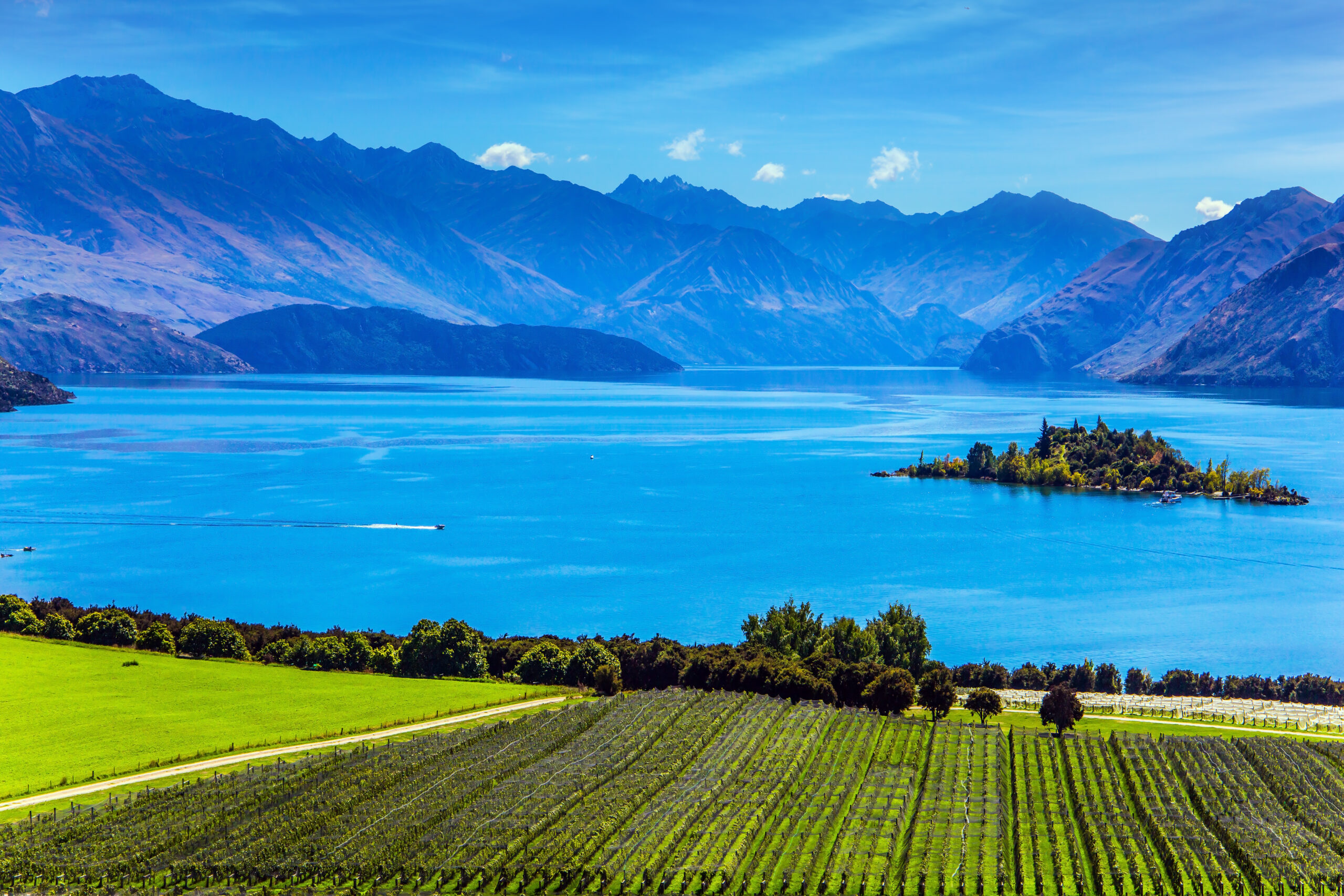 Adorable,Little,Island,In,The,Middle,Of,Lake,Wanaka.,New